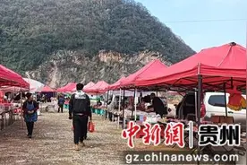 贵州毕节：打通乡村“经脉”绘就美丽“黔”途图片