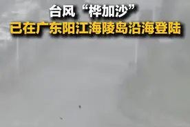 台风“桦加沙”名字是咋来的？啥意思？图片