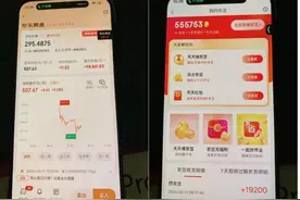 这个用户在京东买黄金一周赚10万！他还投资保险产品1700万、基金500万、江浙沪房产七十多套……图片