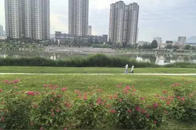 【中央媒体看甘肃】成县：按下城市提升改造“快进键”图片