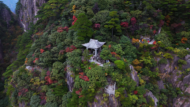 出片率100%！黄山风景区进入最佳赏秋期