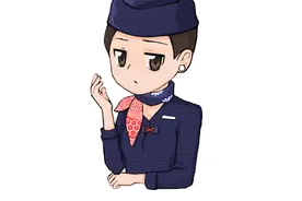 飞机为什么不想遇见小鸟？图片