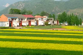 2023年济源农林牧渔业总产值增幅居全省第一位图片