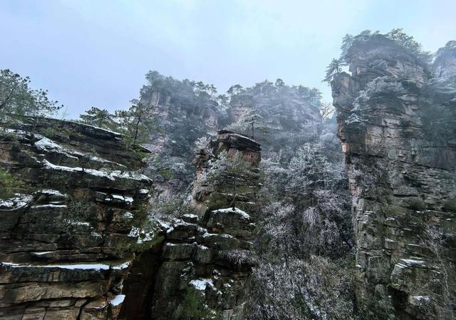 千山沐雪，万木凝霜——杨家界雪后美景迎客来