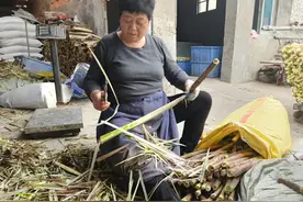 春日限定笋干上市，出烘箱后当天就卖光，有临安农户已售出5000多斤图片