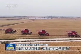 在希望的田野上丨小麦主产区进入收获期 作业效率提升图片