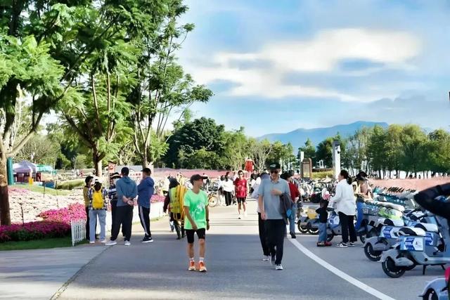 4天204.02万人次，一座被游客 “偏爱” 的城市