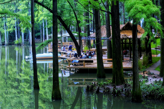 “烟雨”双节 河南文旅用创新暖心赢得游客心