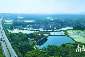 问策阳春17镇街⑦丨松柏：镇村同美，立体发展图片