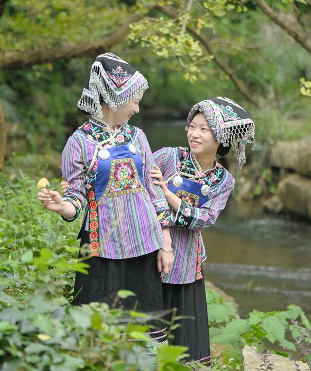 贵州盘州：邂逅千年银杏 共赴金色之约