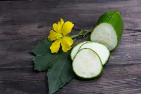 进得了厨房，入得了药房 丝瓜络跨界中药的妙用，你知道几个？图片