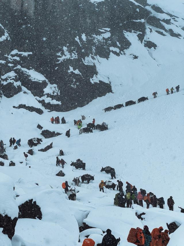 当山野成为失控的生意