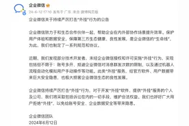 企业微信宣布严打“外挂”行为，涉及账号多开、无限群发消息等图片
