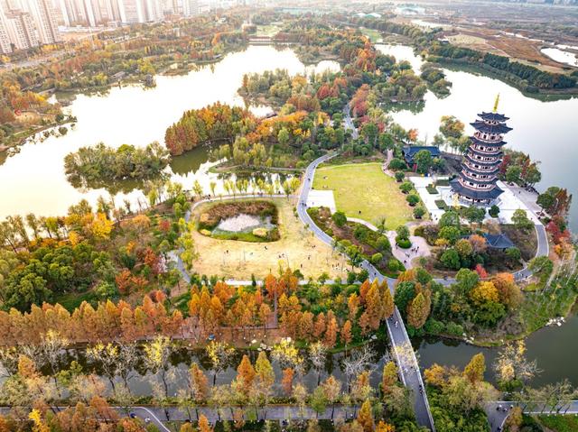湖南湘江新区：把城市“种”进公园里