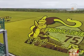 北大荒：发展现代农业 端牢中国饭碗图片