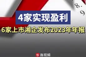 6家上市湘企披露2023年年报，4家实现盈利图片