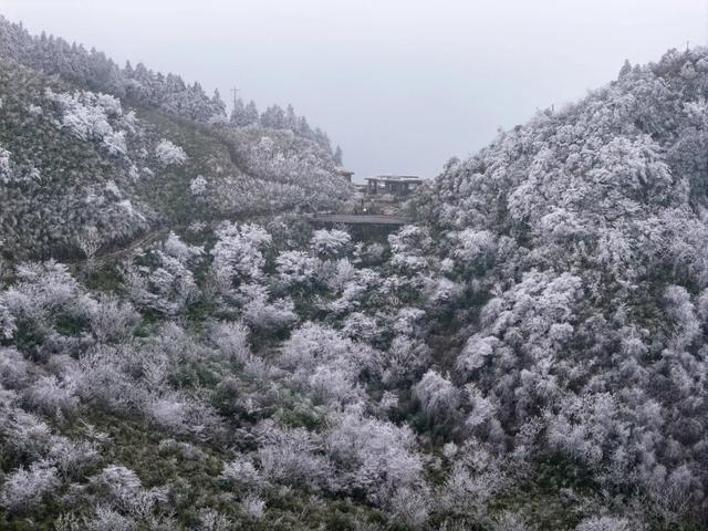 出片率99.99%！快来邂逅綦江版“冰雪奇缘”