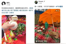 山东人晒“今年第一次野炊”！大葱蘸酱、钙奶饼干……评论区太搞笑图片