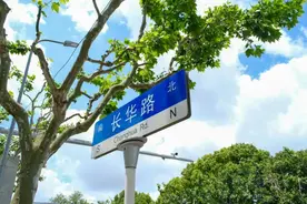 八千余平方米！徐汇这片绿地与市民正式“见面”图片