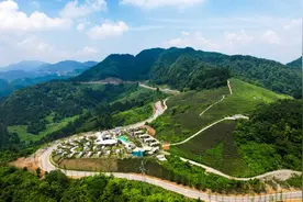 大区大县挑大梁｜明月山挺起垫江乡村振兴“硬脊梁”图片