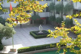 南京多所学校发布招生公告！图片