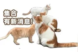 即将在年内开通！进度超九成！广州地铁十二号线有新进展！图片