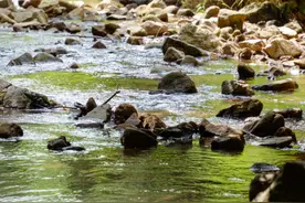 深圳公园天花板，都在这里了！图片