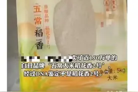 五常大米到底是什么米？为什么比普通米好吃？图片