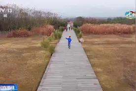 文化传承看“浙”里,这届年轻人“玩活”了传统文化图片