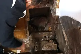 淮南一居民夜晚休息听到声响 专业人员一查房间发现8个白蚁巢图片