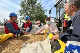 麦浪千层起 服务暖人心图片