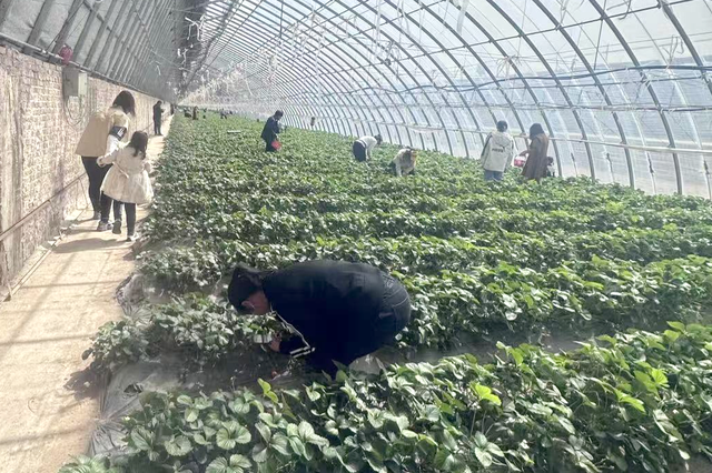 锦州：北镇镇山福地火热冰雪游 元旦假期文旅市场再起“开门红”