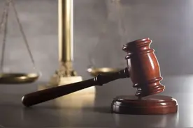 贵州两男子摘马蜂窝后离开，路人途经被马蜂蜇伤致死！家属起诉两男子索赔30余万图片