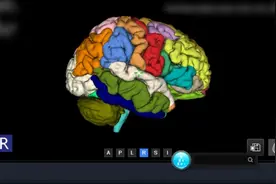 山东首家！青岛妇儿医院成功完成DeepSeek本地化部署，自主开发“灵童”系统正式上线图片