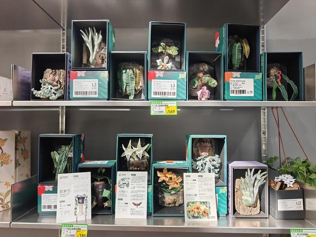 赏花看展淘文创！国家植物园邀您共享“一站式”春日快乐