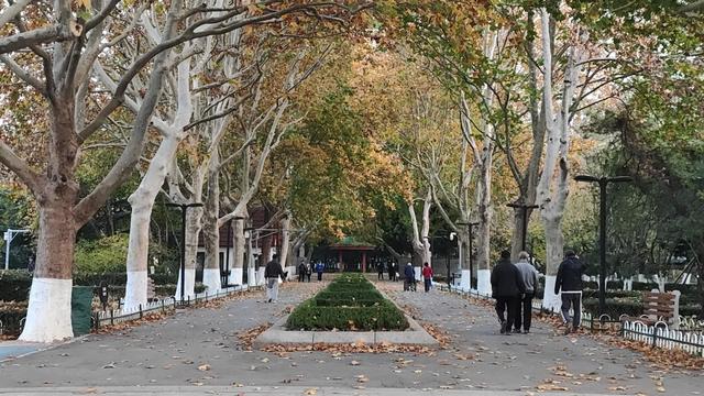 靓丽“秋色”装扮起最美海泊河公园