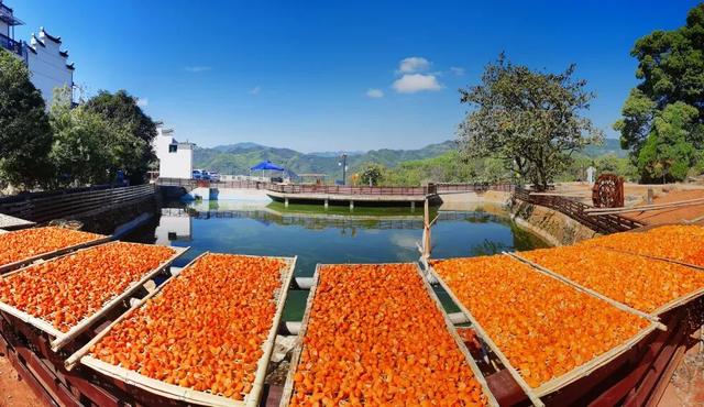 在衢江，最近必打卡的四件事，诗意又治愈！