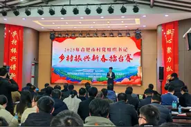 安徽合肥：乡村振兴怎么做 新春擂台见真招图片