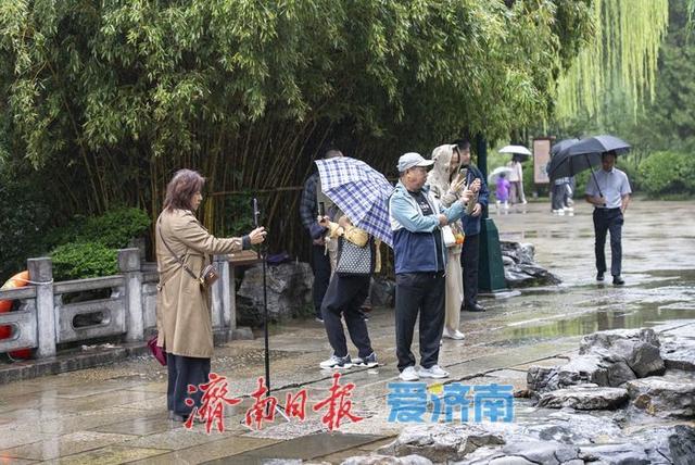 一年四季 泉在济南丨烟雨济南好似一幅水墨长卷