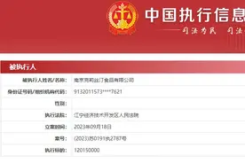 克莉丝汀南京公司被执行1.2亿余元，此前曾数次卖楼抵债图片