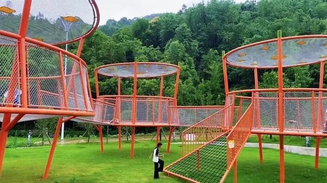 银杏黄了！安陆红了！