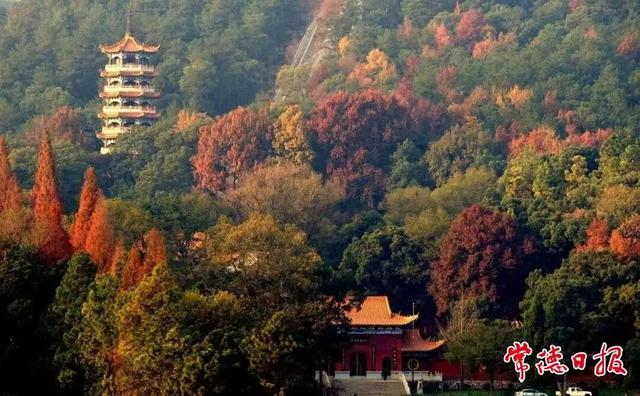 一张“湘超”门票 解锁常德N种玩法