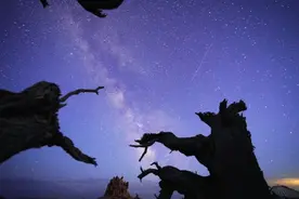 牛郎织女七夕只能处“异地” 每小时洒落百颗流星的“圣洛朗的眼泪”将迎极大图片