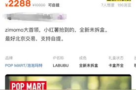 溢价千元也要抢：爆款潮玩Labubu、Zimomo“魔力”何在？图片