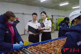 漳州荔枝出口额超4800万元  增长突破5成——今年漳州荔枝出口季落下帷幕图片