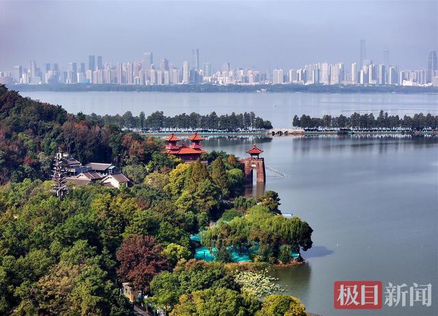 武汉东湖磨山披“彩衣”，深秋画卷引客来