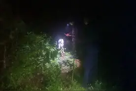 7岁男孩深山捡菌失踪！100多人连夜找了16小时后终于找到图片