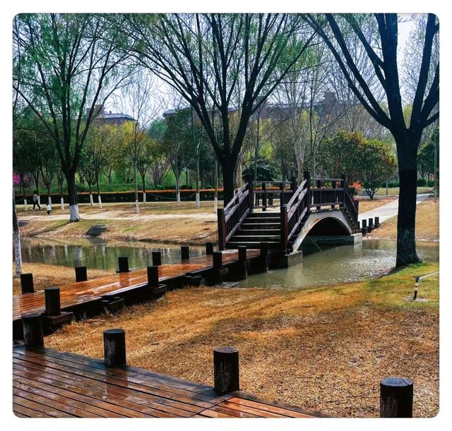 谁说冬天只有黑白？这抹彩色绚烂得不讲道理