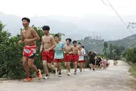 “八角笼中”照进现实图片