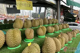 榴莲市场迎来上市季 价格较去年同期偏高图片